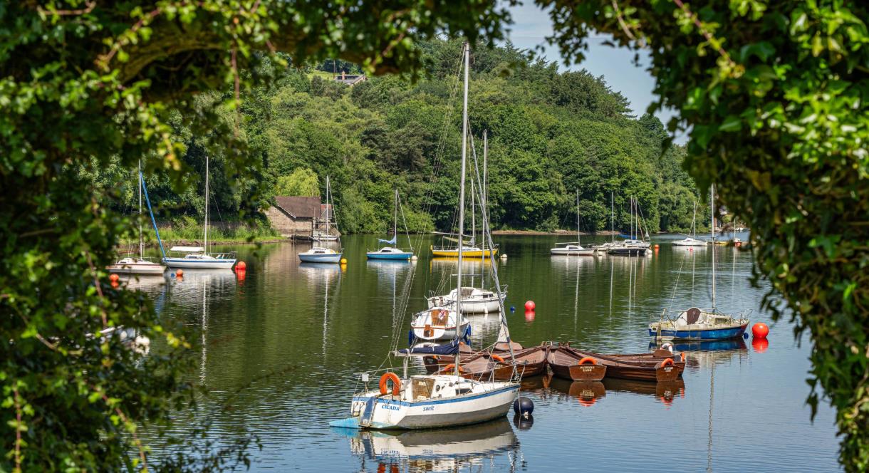 image of sail boats on Rudyard Lake