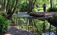 graphic shows man with camera taking a photo in the woodland